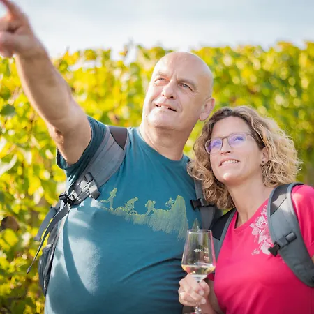 Halfenstube & 1894 4* Senheim