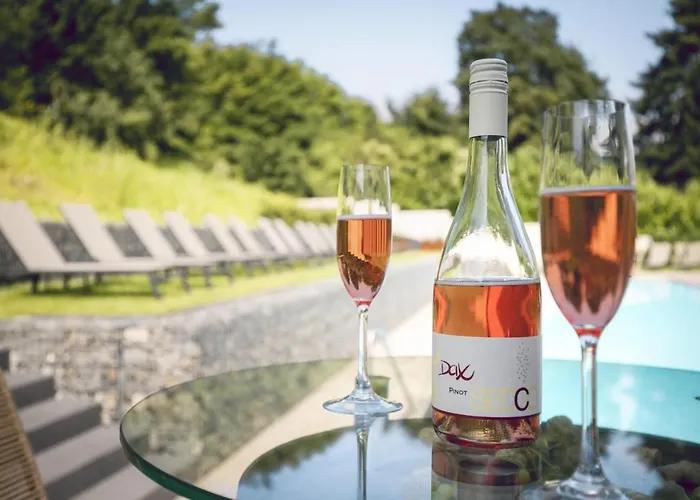 Hotel Halfenstube & 1894 Senheim