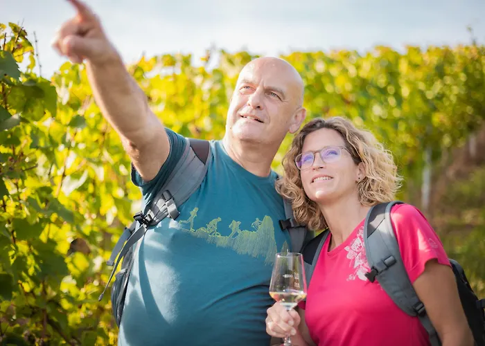 Halfenstube & 1894 4* Senheim