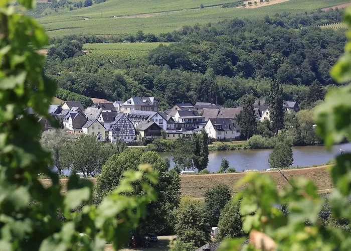 Halfenstube & 1894 Hotel Senheim